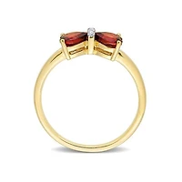 Julianna B 10K Yellow Gold 0.015 CTW Diamond & Garnet Ring