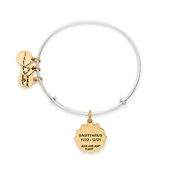 Alex and Ani Sagittarius Two-Tone Bangle