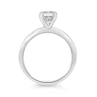 Glacier Fire 14K White Gold 1.00CTW Solitaire Plus Ring