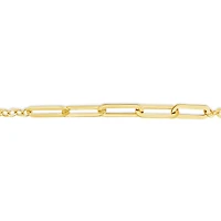 10K Yellow Gold 8.5" Paperclip Link Anklet