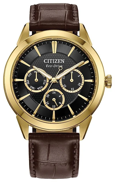 Citizen Men's Eco Rolan Watch