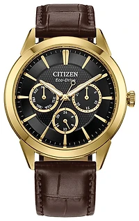 Citizen Men's Eco Rolan Watch