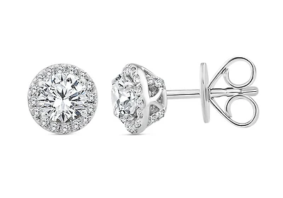 Above Love Lab Grown 1.37CTW Diamond Stud Earrings in 14K White Gold