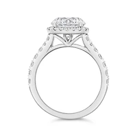 New Brilliance Lab Grown 3.70CTW Diamond Bridal Ring in 14K White Gold