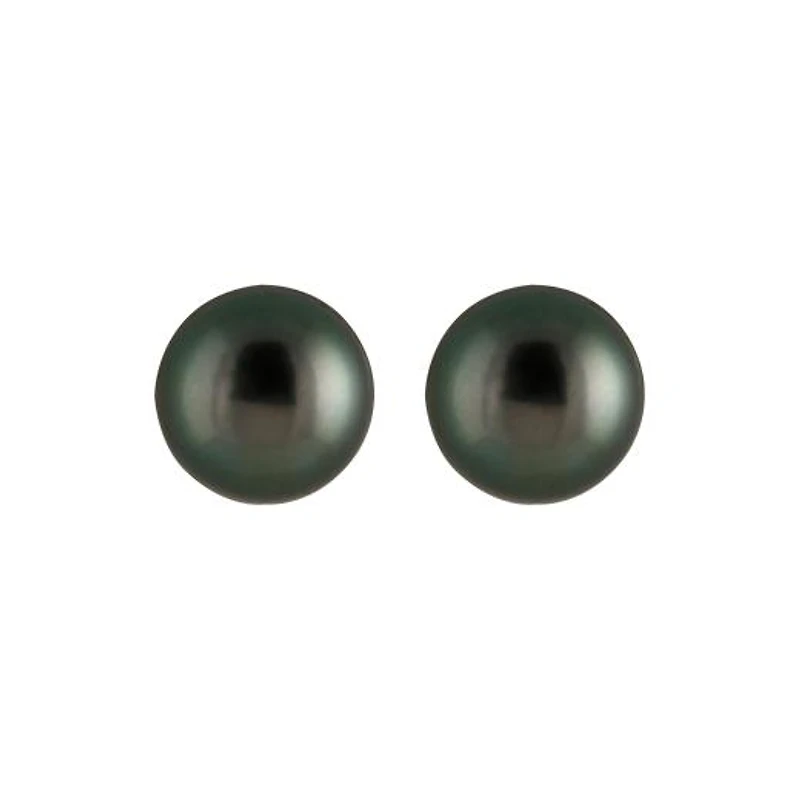 Tahitian Pearl Stud Earrings