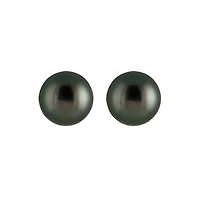 Tahitian Pearl Stud Earrings