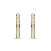 10K Yellow Gold Glitter Hoops