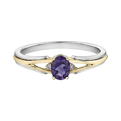 10K White & Yellow Gold Amethyst & 0.015CTW Diamond Ring