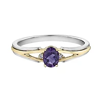 10K White & Yellow Gold Amethyst & 0.015CTW Diamond Ring