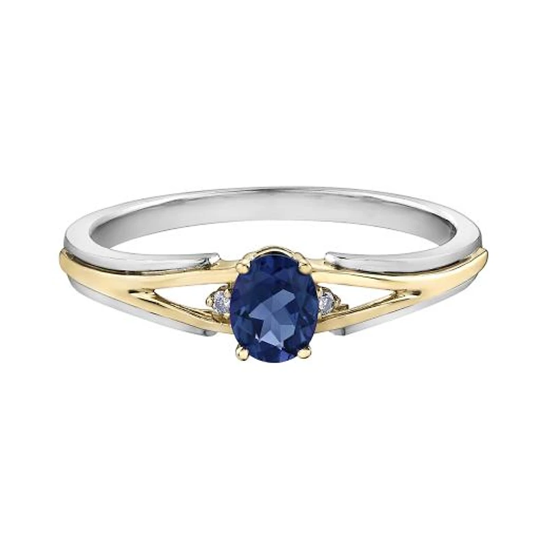 10K White & Yellow Gold Sapphire & 0.015CTW Diamond Ring
