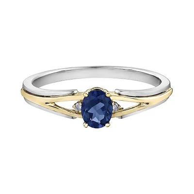 10K White & Yellow Gold Sapphire & 0.015CTW Diamond Ring