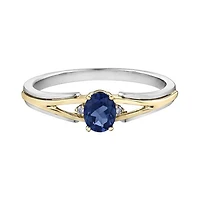 10K White & Yellow Gold Sapphire & 0.015CTW Diamond Ring