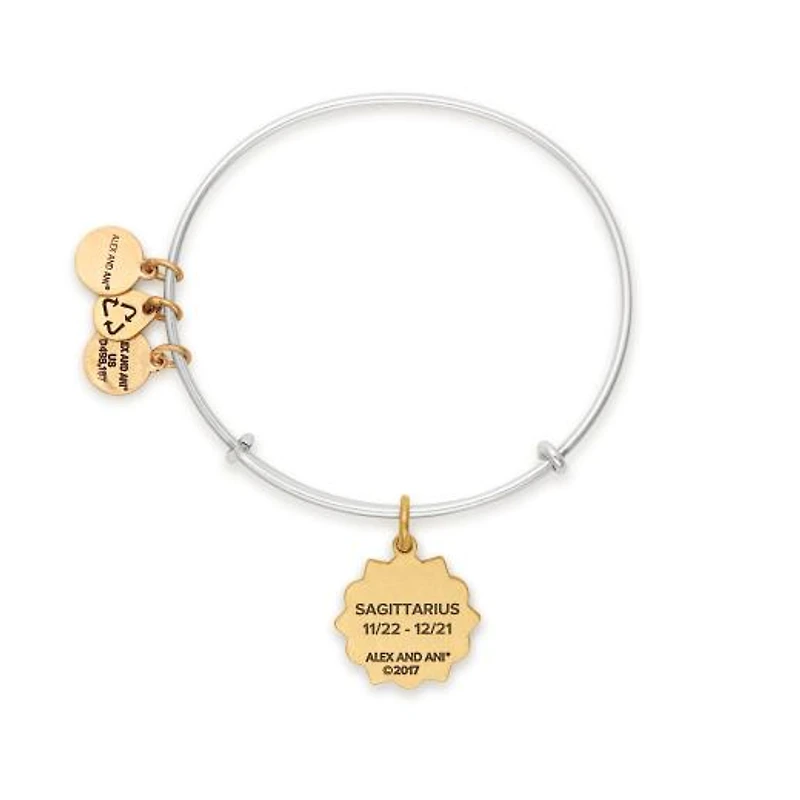 Alex and Ani Sagittarius Two-Tone Bangle