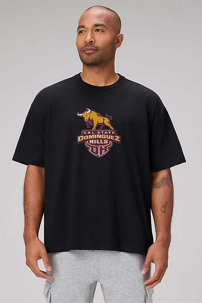 California State University