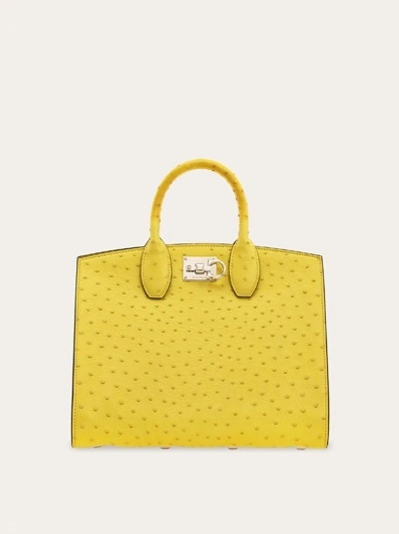 Ferragamo Studio box bag (M)