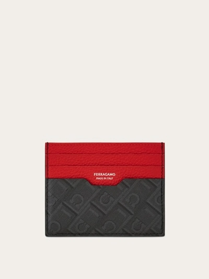 Credit card holder