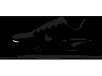 Women's | Nike Pegasus 41 Fall 2025