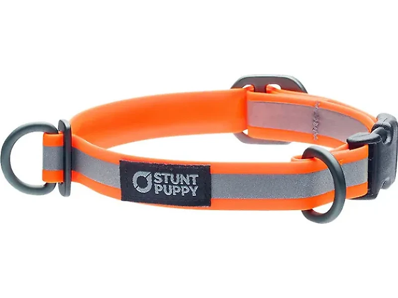 Stunt Puppy Glo Dog Dry Collar
