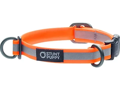 Stunt Puppy Glo Dog Dry Collar