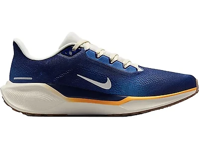 Men's | Nike Pegasus 41 Fall 2025