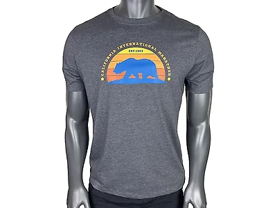 ASICS Unisex CIM Tee