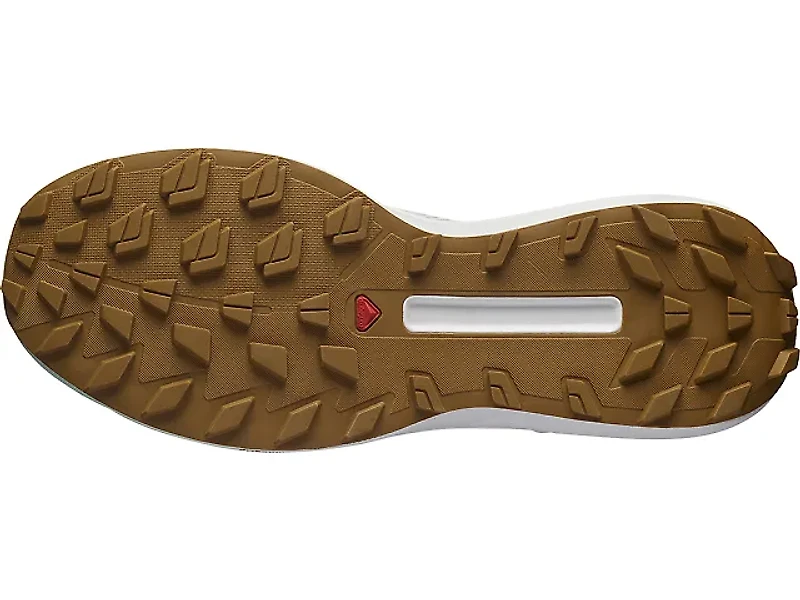 Men's | Salomon S/Lab Genesis LE v2