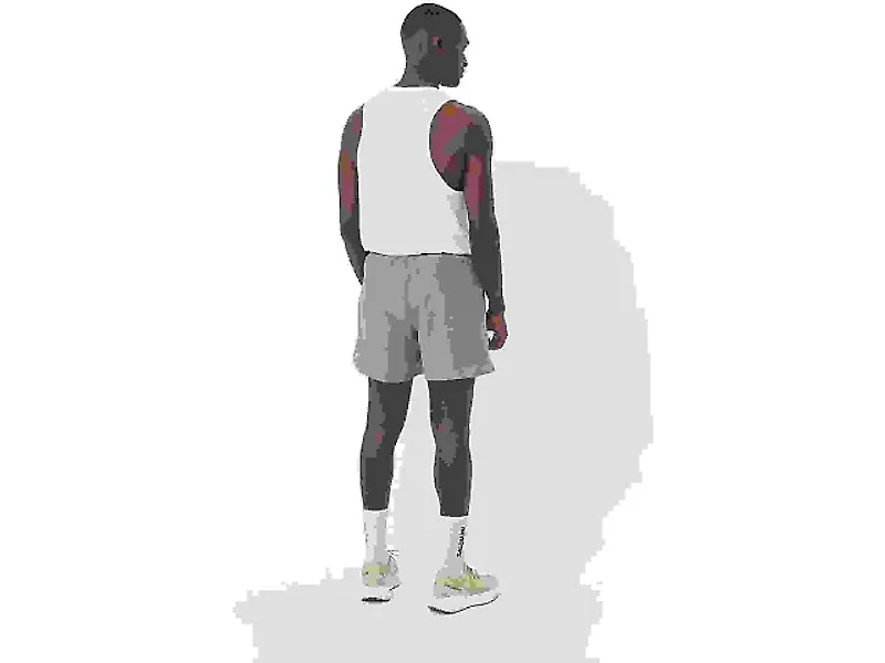 Men's | Salomon Shakeout Core Shorts 5in