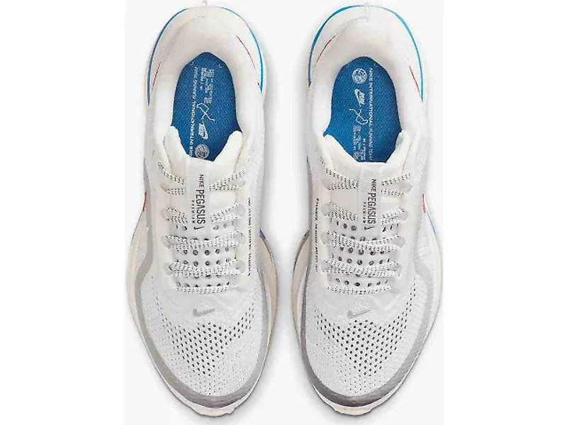 Women's | Nike Pegasus Premium - Forrest Gump