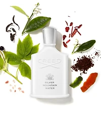 Silver Mountain Water Eau de Parfum 100ml