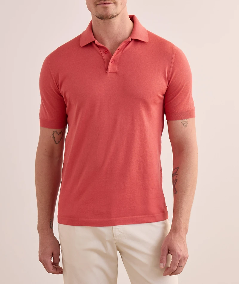 Cotton Knit Polo