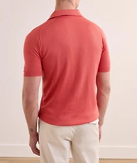 Cotton Knit Polo