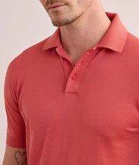 Cotton Knit Polo