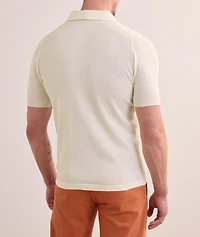 Cotton Knit Polo