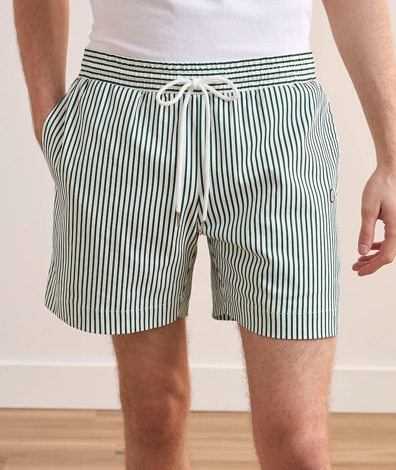 Pinstripe Lined Swim Shorts