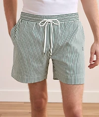 Pinstripe Lined Swim Shorts