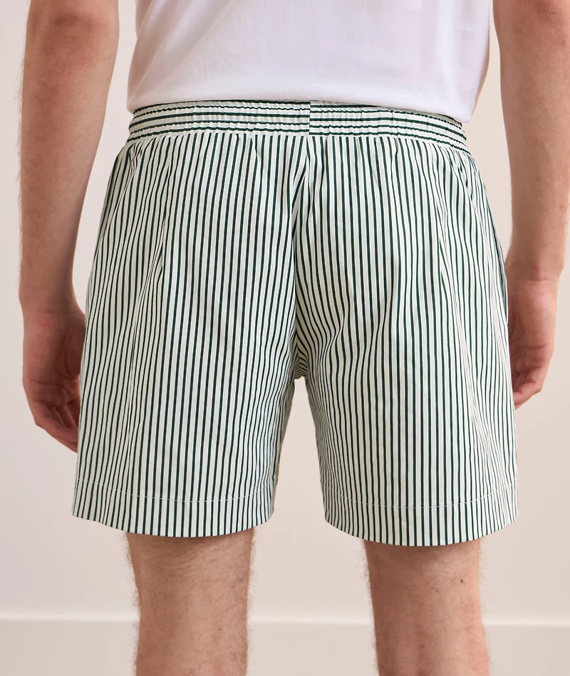 Pinstripe Lined Swim Shorts