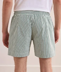 Pinstripe Lined Swim Shorts