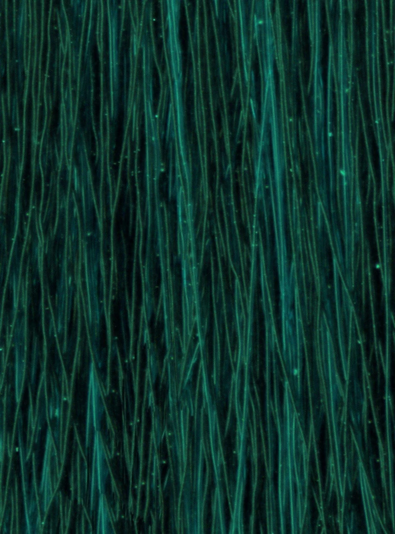 Manic Panic Enchanted Forest Classic Cream Hair Dye