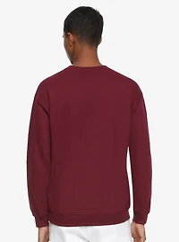 DC Comics The Flash Distressed Logo Sweatshirt