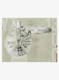 Star Wars Millennium Falcon Peel & Stick Mural