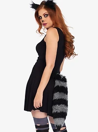 Raccoon Costume