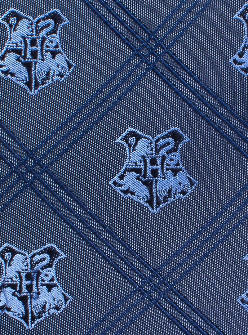 Harry Potter Hogwarts Plaid Tie