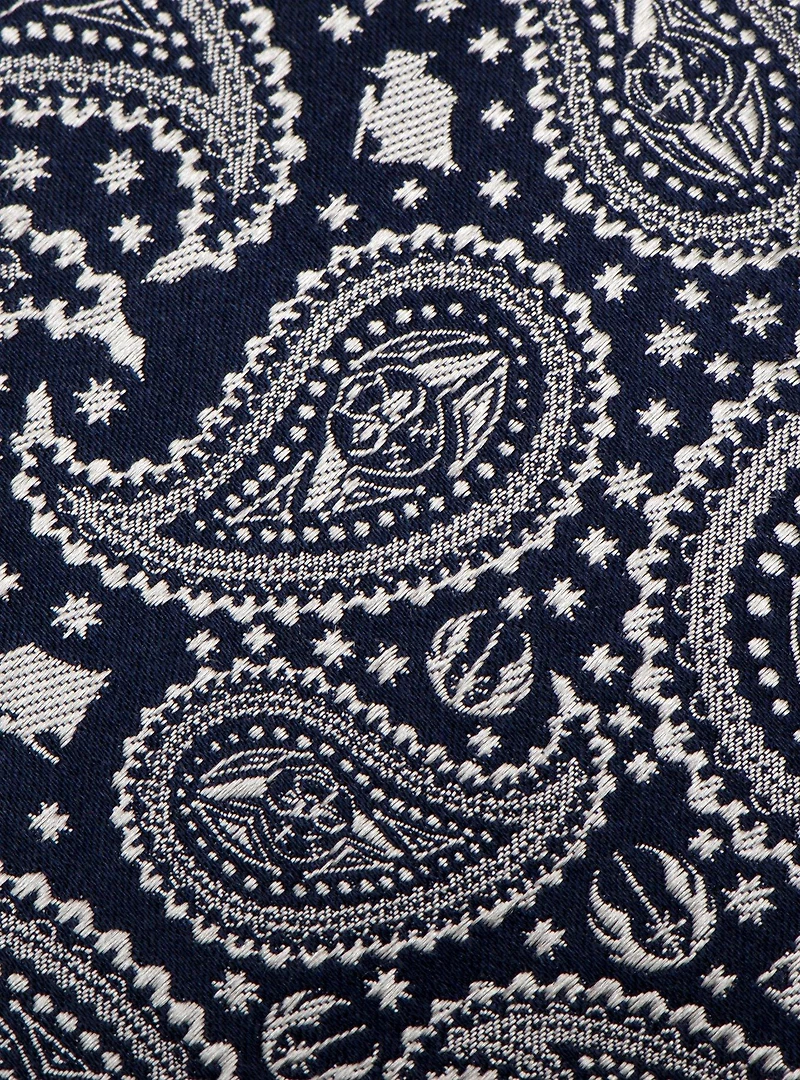 Star Wars Yoda Navy Paisley Mens Tie