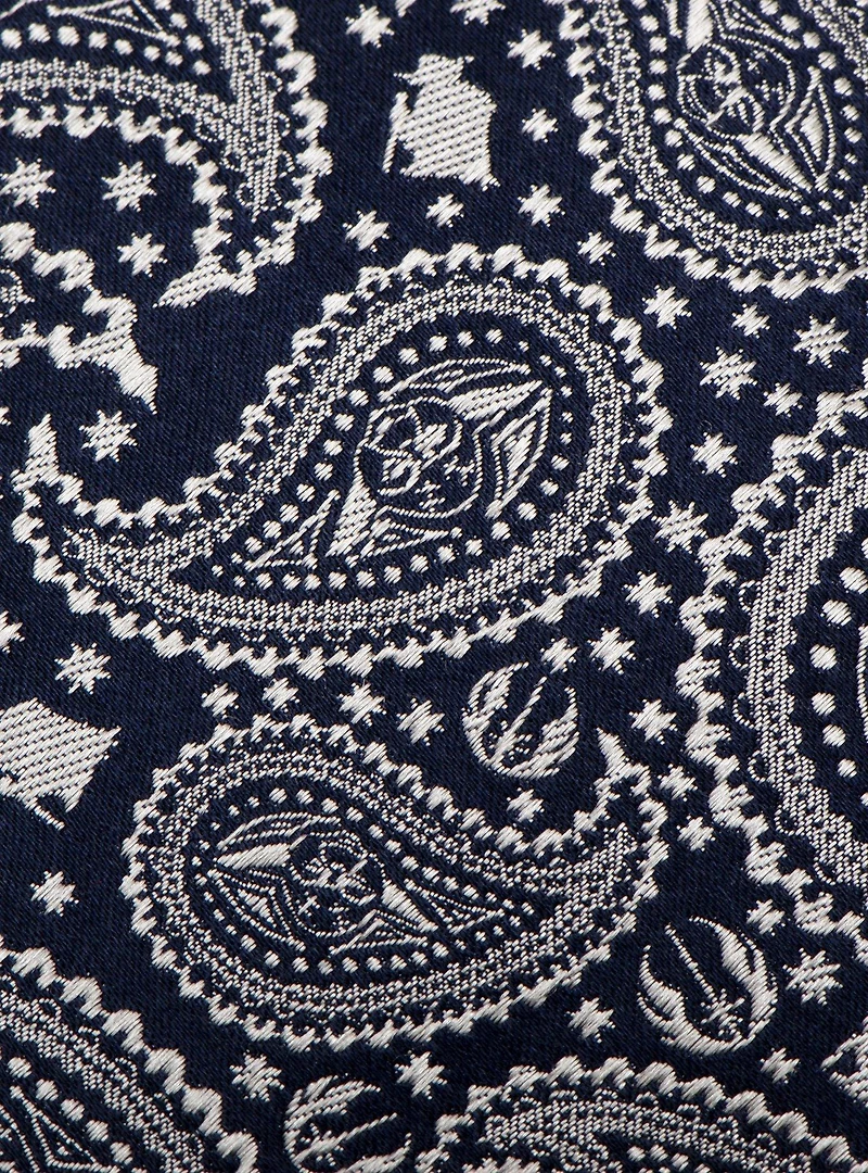 Star Wars Yoda Navy Paisley Mens Tie
