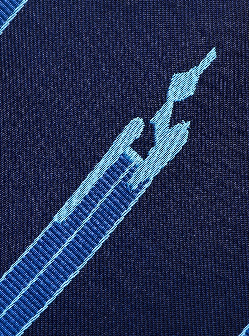 Star Trek Enterprise Flight Blue Stripe Tie