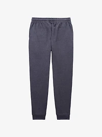 Harry Potter Hogwarts Athletic Department Gryffindor Joggers - BoxLunch Exclusive