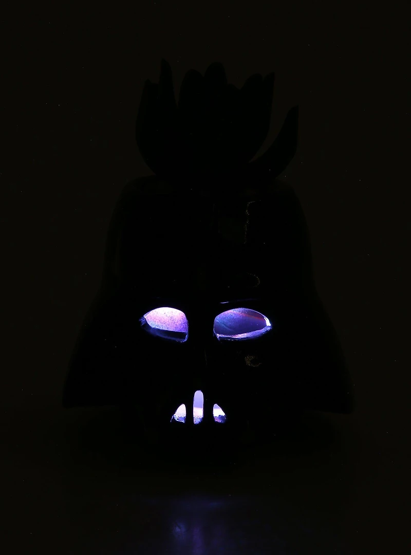 Star Wars Darth Vader Light Up Faux Succulent
