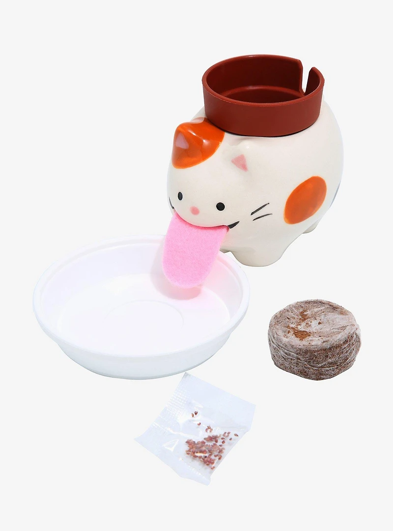 Peropon Licking Cat Plant Cultivation Kit