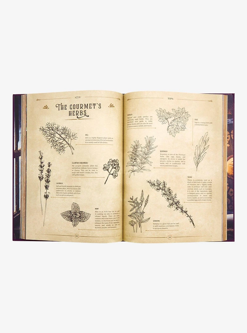 The Unofficial Zelda Cookbook