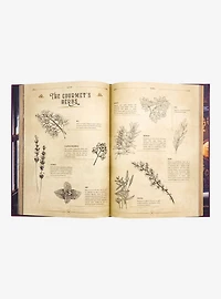 The Unofficial Zelda Cookbook